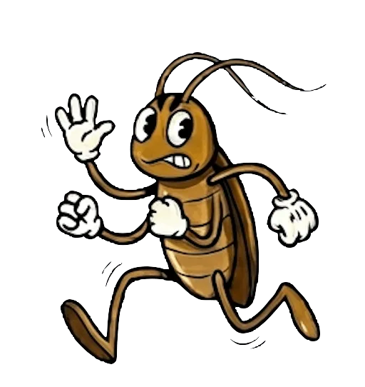 Cockroaches