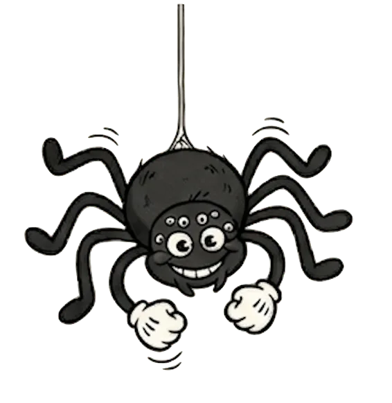 Spiders
